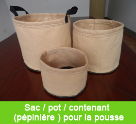 Sac / pot / contenant (pépinière ) pour la pousse