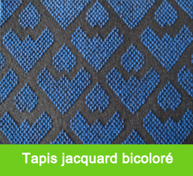 Tapis jacquard bicoloré