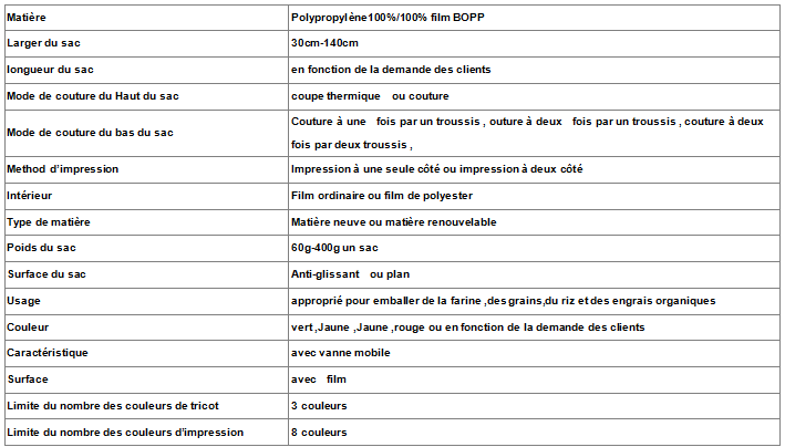 Sac tissé laminé en polypropylène avec insertion externe de film BOPP