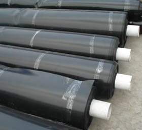 PE Geomembrane