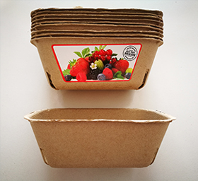 Fruit Holder/ Fruit Box