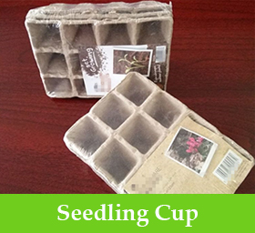 Seedling Cup