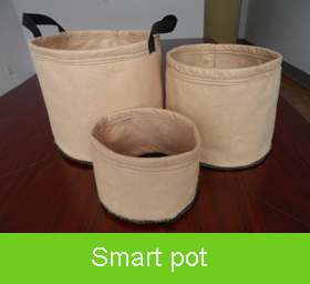 Smart Pot