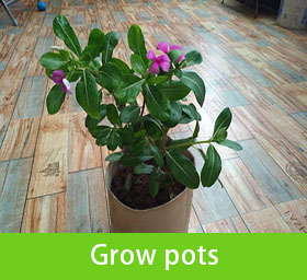 Grow Pots