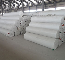 Nonwoven carpet