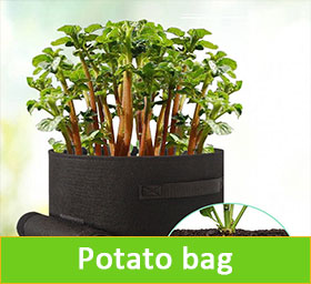 Potato Bag