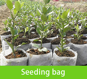 Seeding Bag